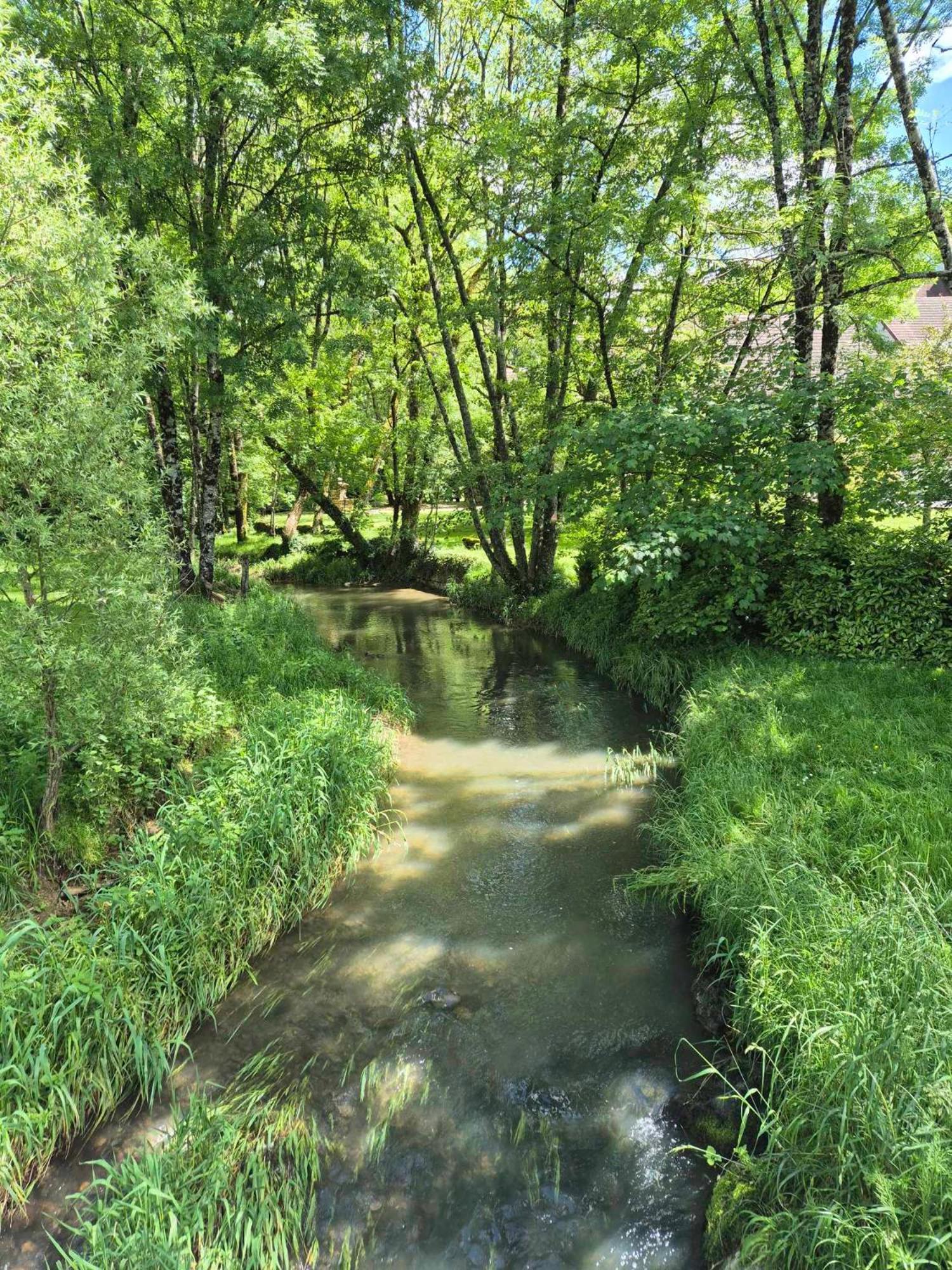 Au Lavoir Du Serein "L'Eventail" Saint-Germain-lès-Arlay Zewnętrze zdjęcie